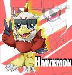 A Hawk MON!