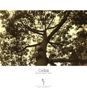 Ceiba I