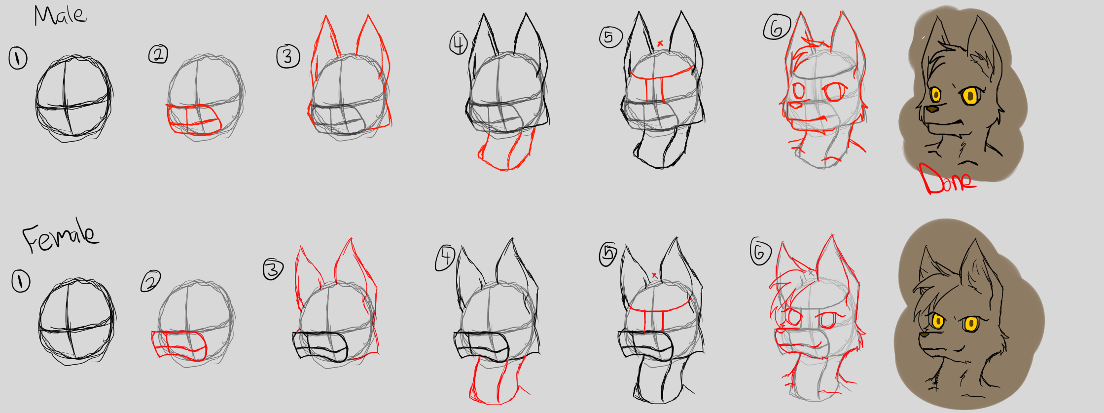 how to draw anthro wolf furry