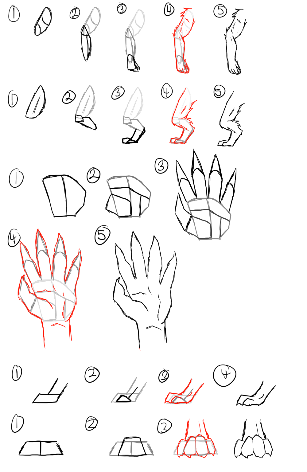 How To Limbs (Anthro) By Wub-Bouncer On Deviantart