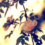 Joy by Inside-my-ART