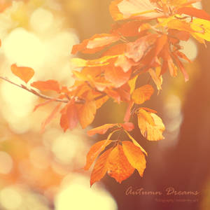 Autumn Dreams by Inside-my-ART Autumn Dreams by Inside-my-ART