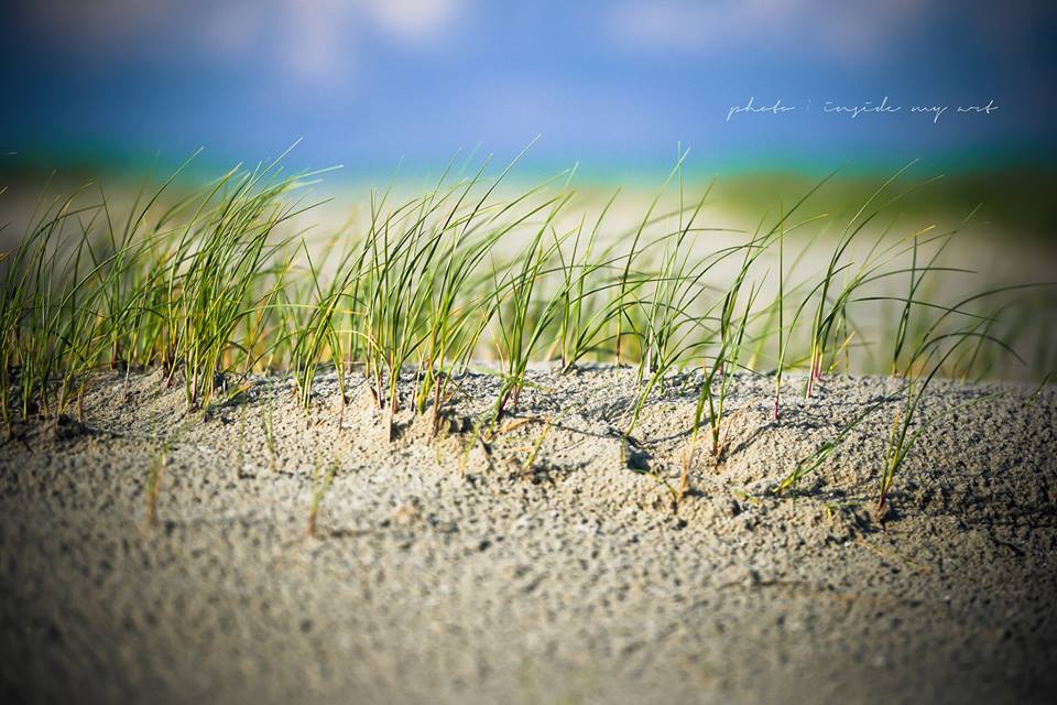 At the beach