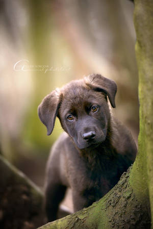 Do you think I'm cute? by Inside-my-ART Do you think I'm cute? by Inside-my-ART