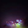 Sparkling dream