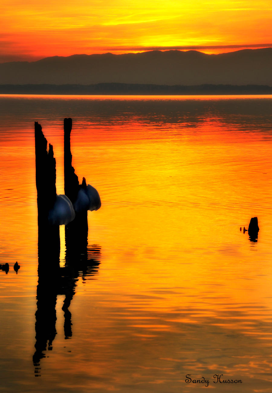 Le Lac Leman