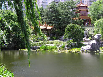 Chinese Garden stock 2