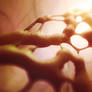 Tangles