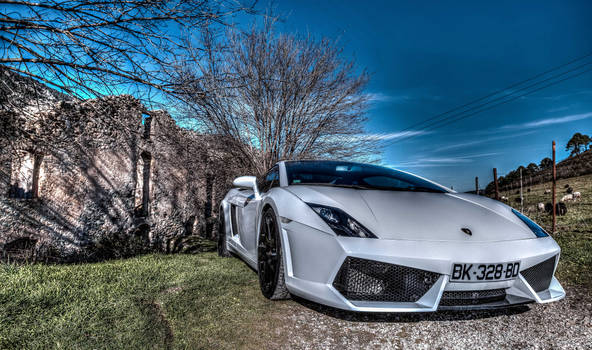 Gallardo