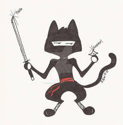 Ninja Kitteh