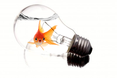 light bulb fish aquarium by aliceawesome on DeviantArt