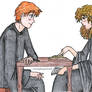 Ron and Hermione - Study Time