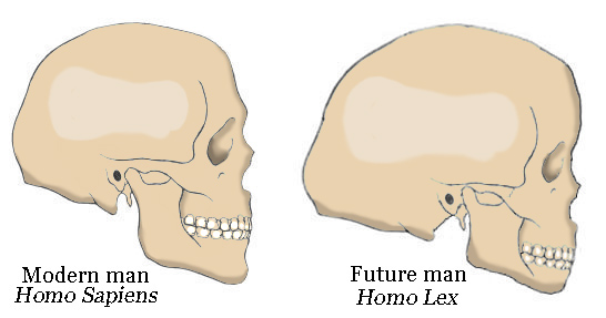 Future human evolution