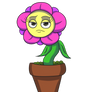 The Grumpy Flower