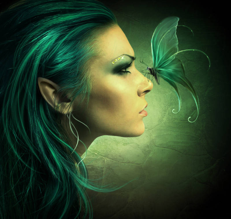 Mariposas 2 by ElenaDudina