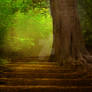 Background 13