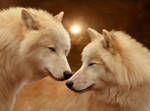 White wolves by ElenaDudina