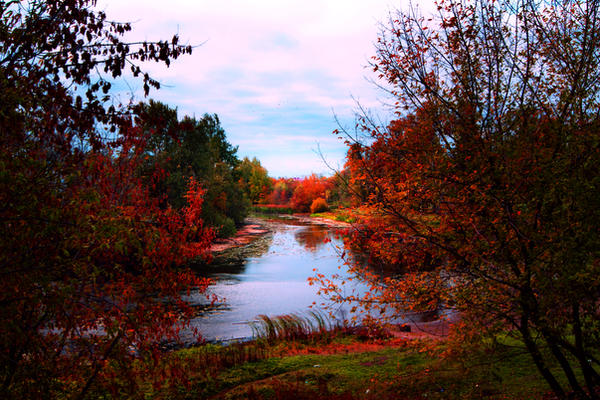 Background 17 by ElenaDudina Background 17 by ElenaDudina