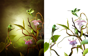 Birds 2 Png Stock