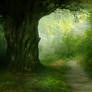 Background 20