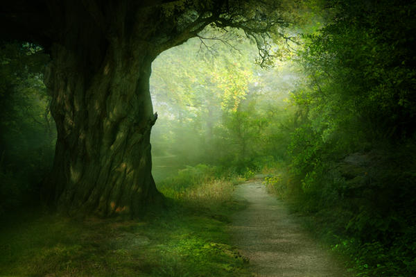 Background 20 by ElenaDudina Background 20 by ElenaDudina