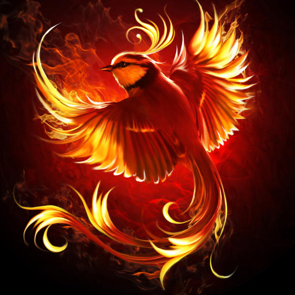 Fire bird by ElenaDudina