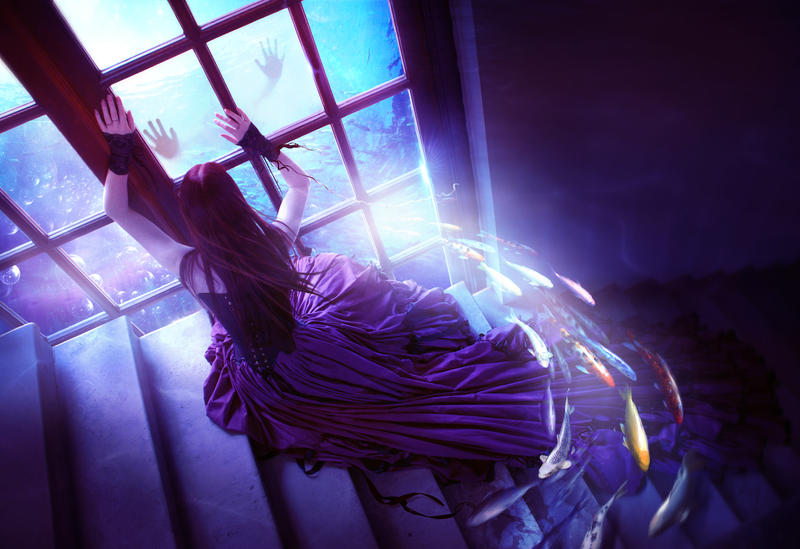 Let me in by ElenaDudina Let me in by ElenaDudina