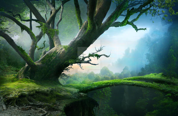 Background 23