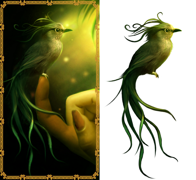 Bird 3 PNG Stock