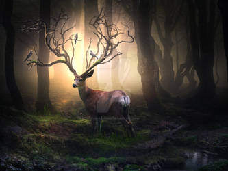 Forest deer by ElenaDudina