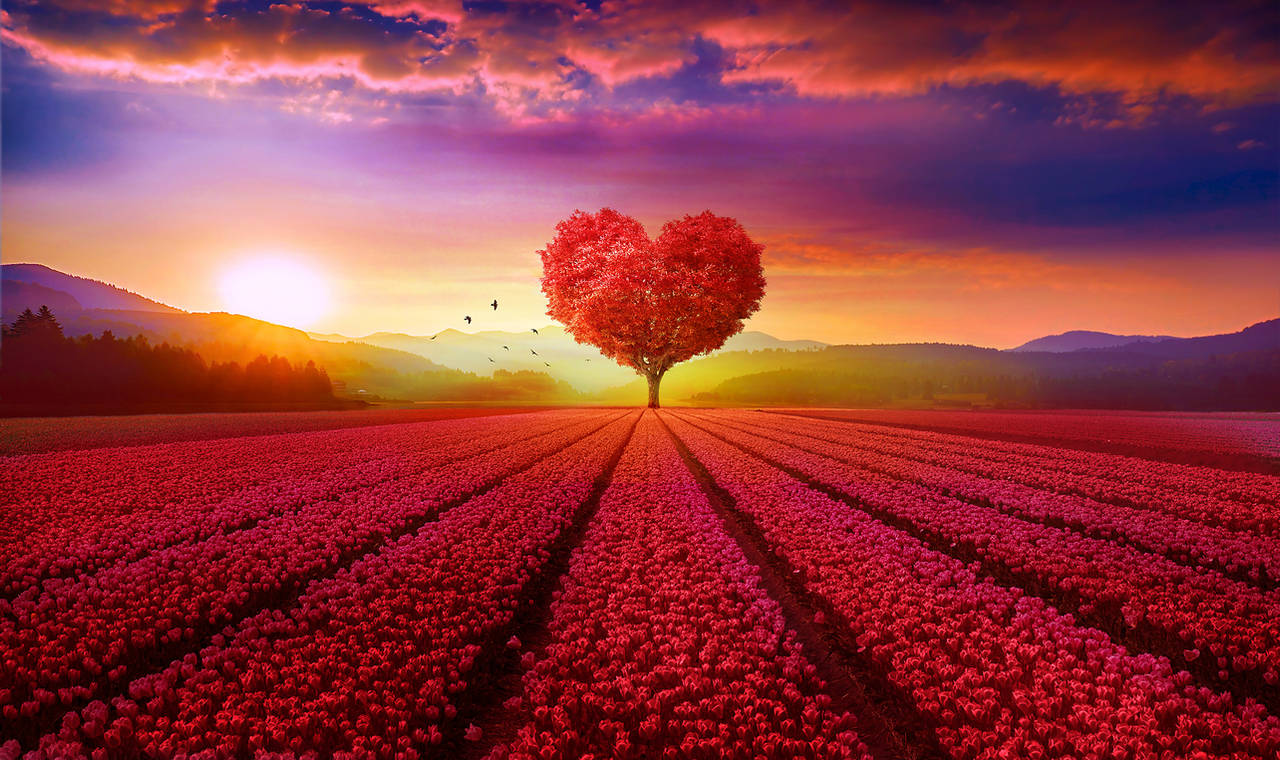 Heart tree by ElenaDudina