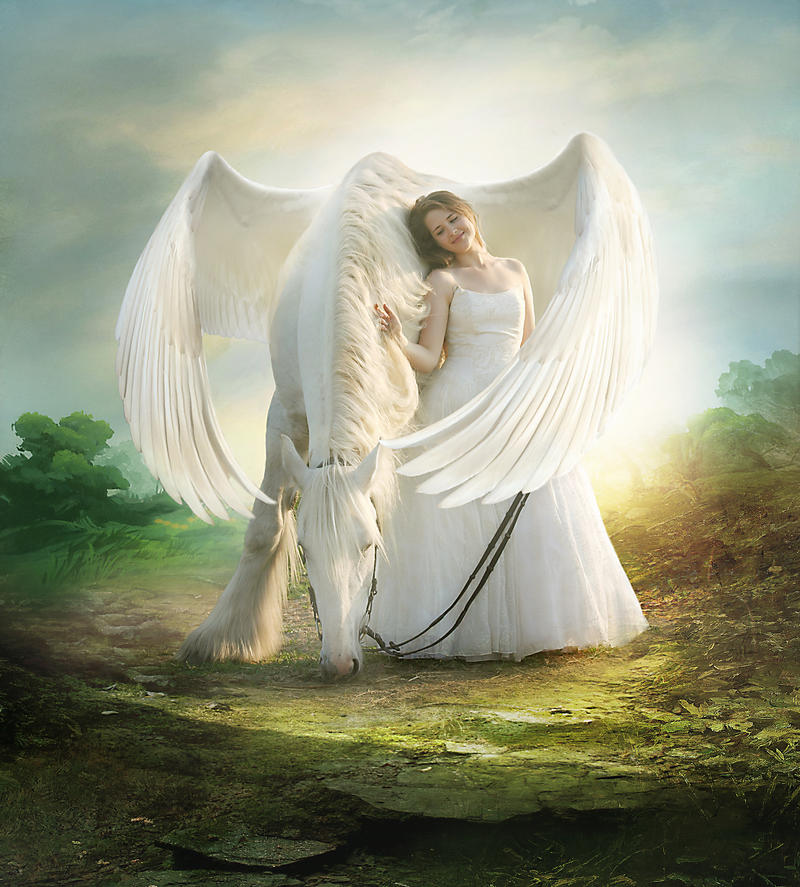 Pegasus by ElenaDudina