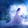 Light fairy