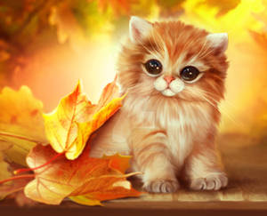 Autumn kitty