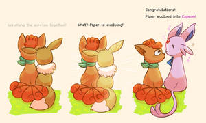 Evolution [PMD]