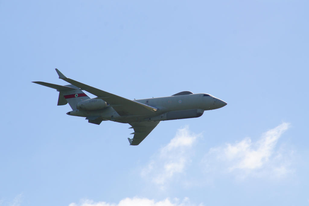 Sentinel R1 by hanimal60 on DeviantArt