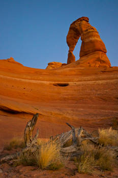 Delicate Arch from Below