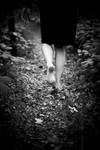 Her White Calf 02 by colinpvandenberg