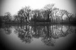 Omands Creek 03 by colinpvandenberg
