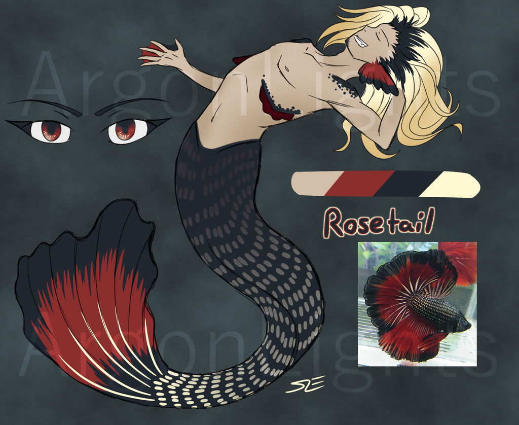Rosetail Merman {AUCTION OPEN}