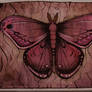 Mothfly Painting