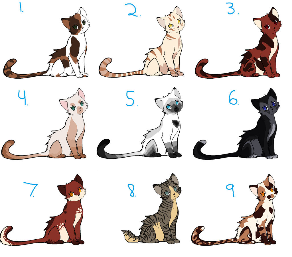 Warrior Cat Adoptable Batch ~Closed~