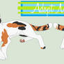 Calico Cat Adoptable [Closed]