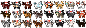 CLOSED - 30 Cats