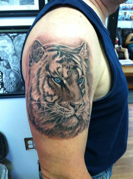 Tiger Tattoo