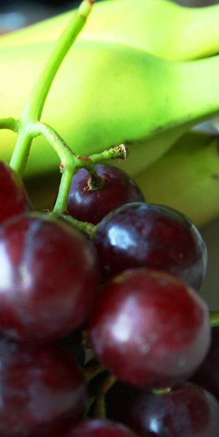 Panoramic fruit