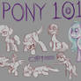 Pony 101 The Stream Series!