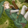 Link sleeping