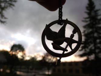 MockingJay Pin 3