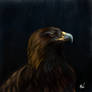 Eagle painting